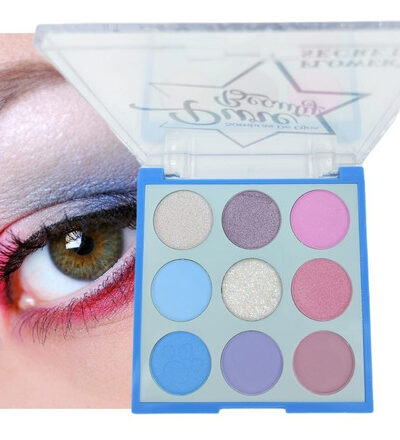 Paleta de Sombras Para Maquillaje Profesional De Ojo 9 Tonos