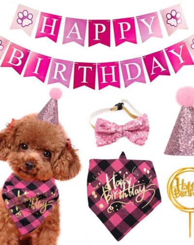 Set Decoración Cumpleaños Kit Cotillón Perros Gatos Mascotas
