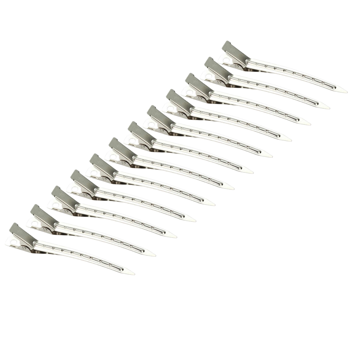 1 – 2023-12-14T121909.680